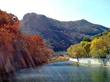 新澳门二四六天天开奖，丰田威驰论坛